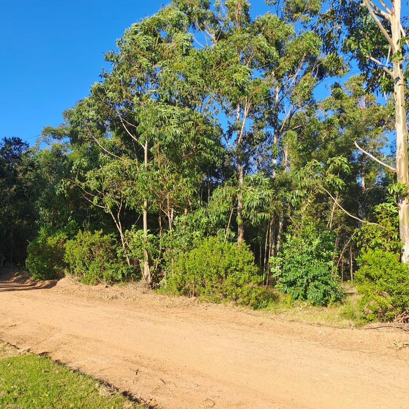 0 Bedroom Property for Sale in Van Stadens Eastern Cape